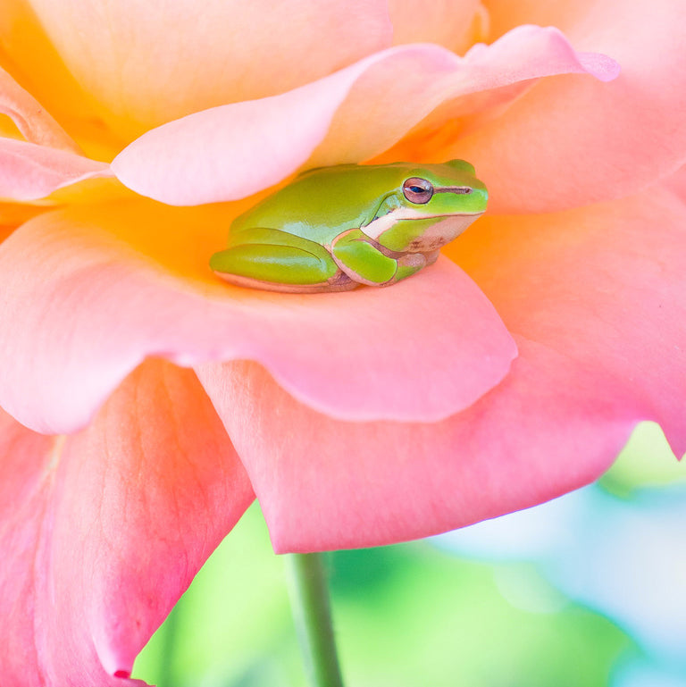 It's time for Nature