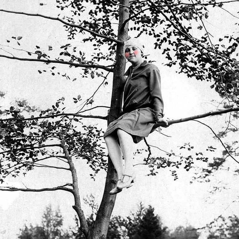 Climate Council - do good feel good