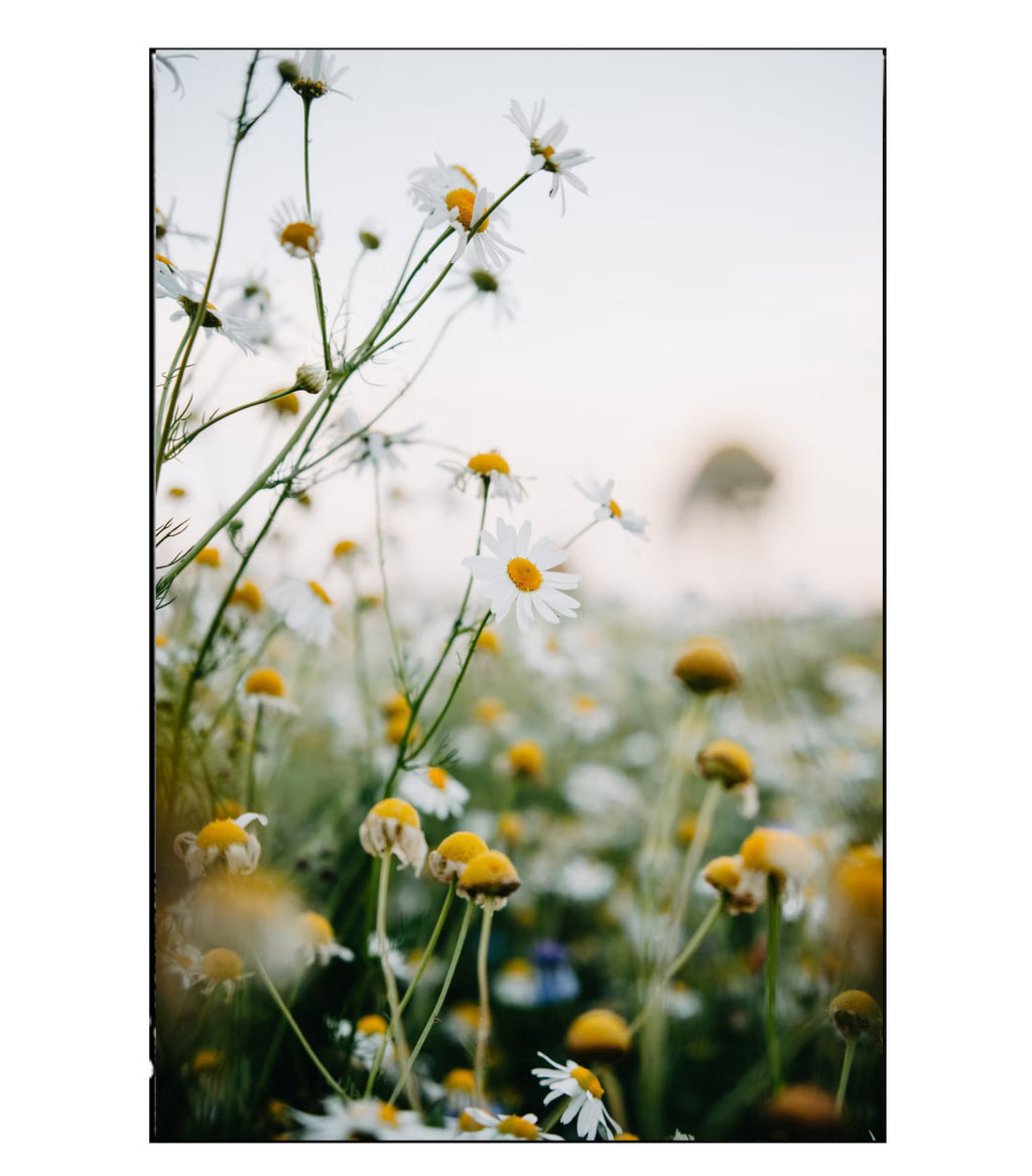 Some good news - an update on giving back