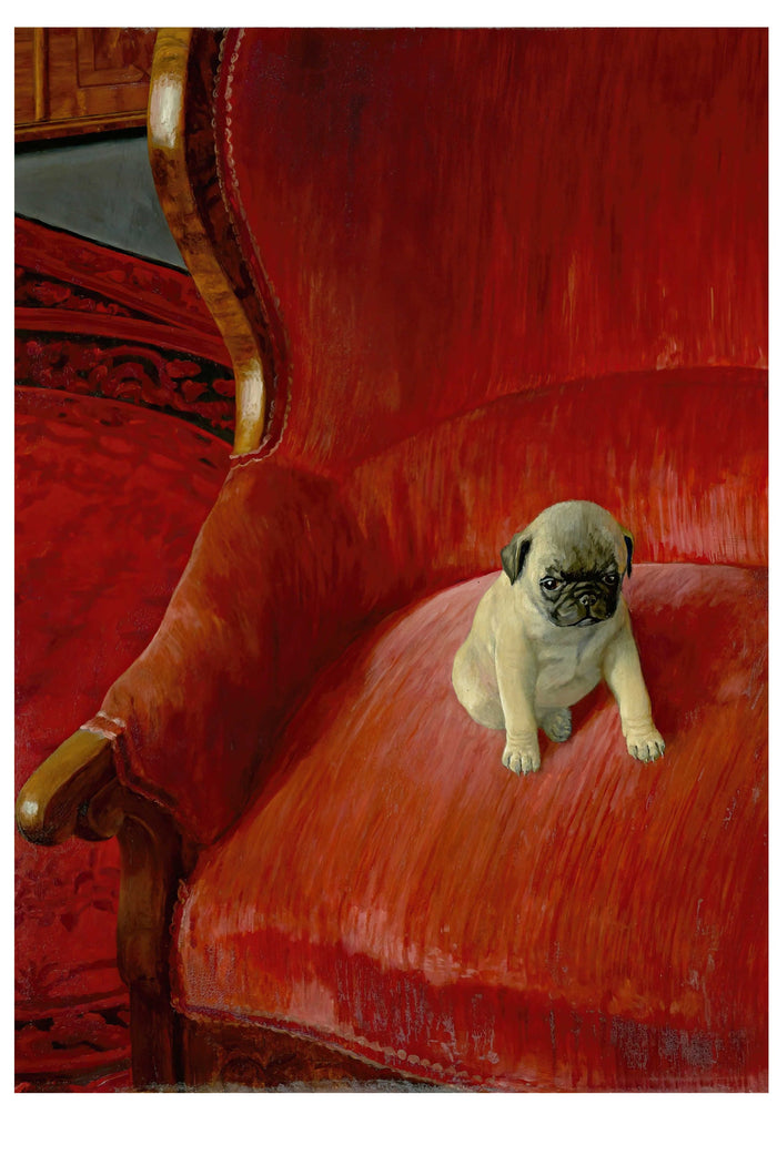 Pug puppy sitting on a red velvet armchair.