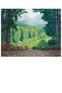 Forest landscape with mountains in the distance.