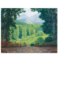 Forest landscape with mountains in the distance.