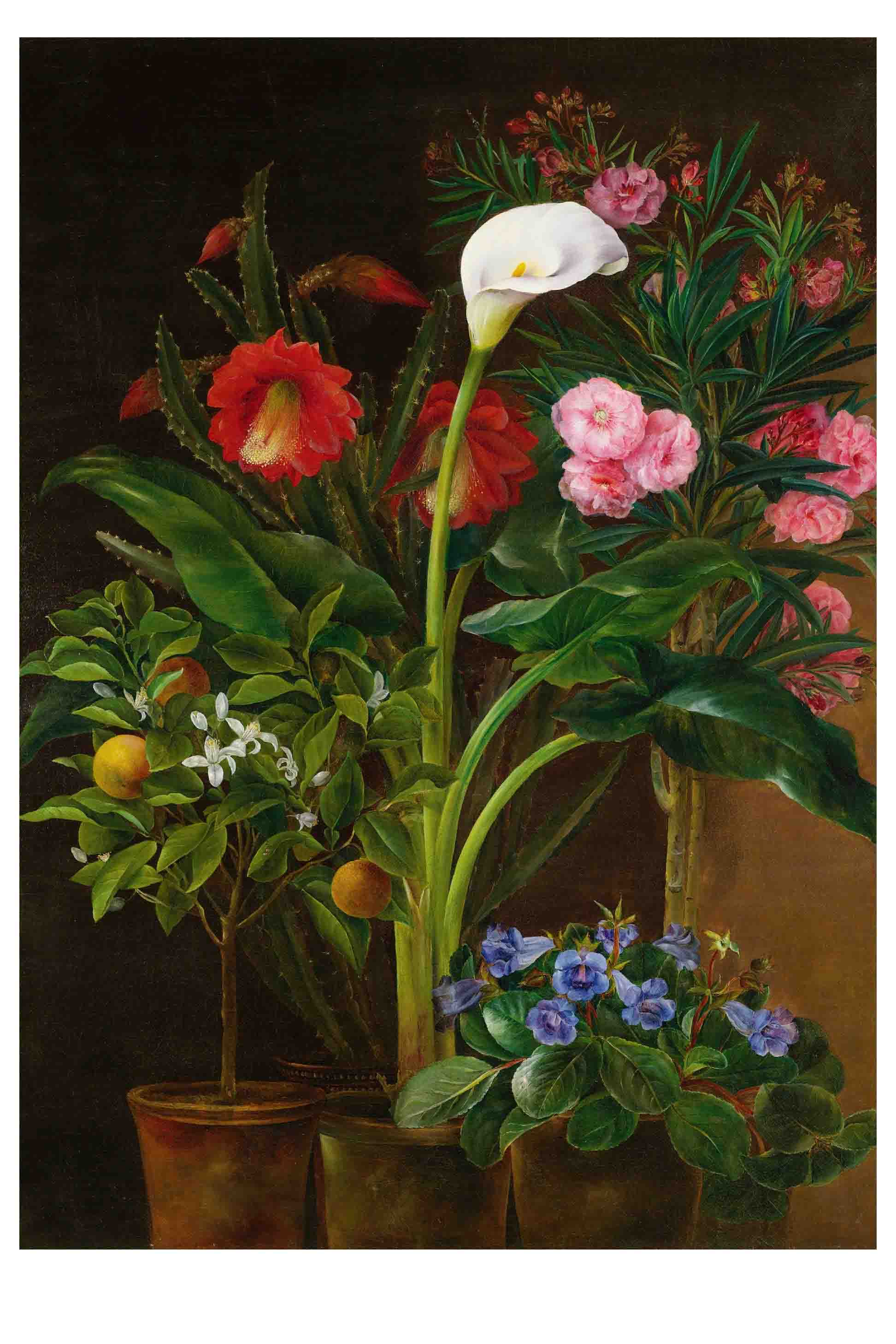 AP37.3 Still life painting of various potted flowers