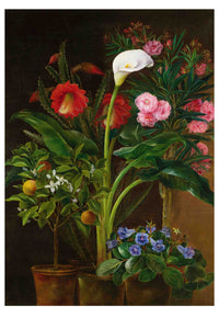AP37.3 Still life painting of various potted flowers