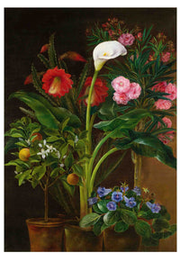 AP37.3 Still life painting of various potted flowers
