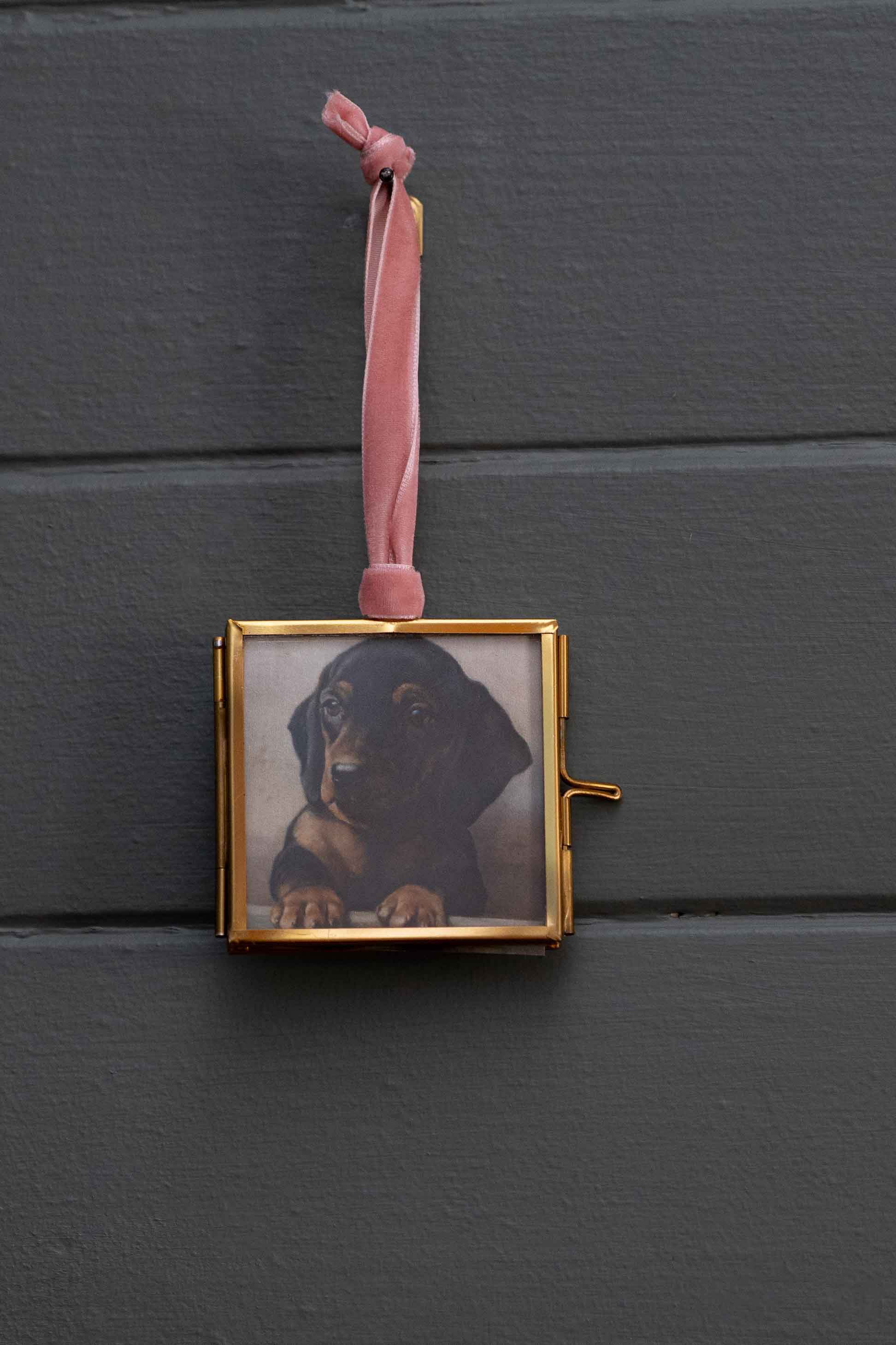Dachshund puppy in a gold framed photo ornament
