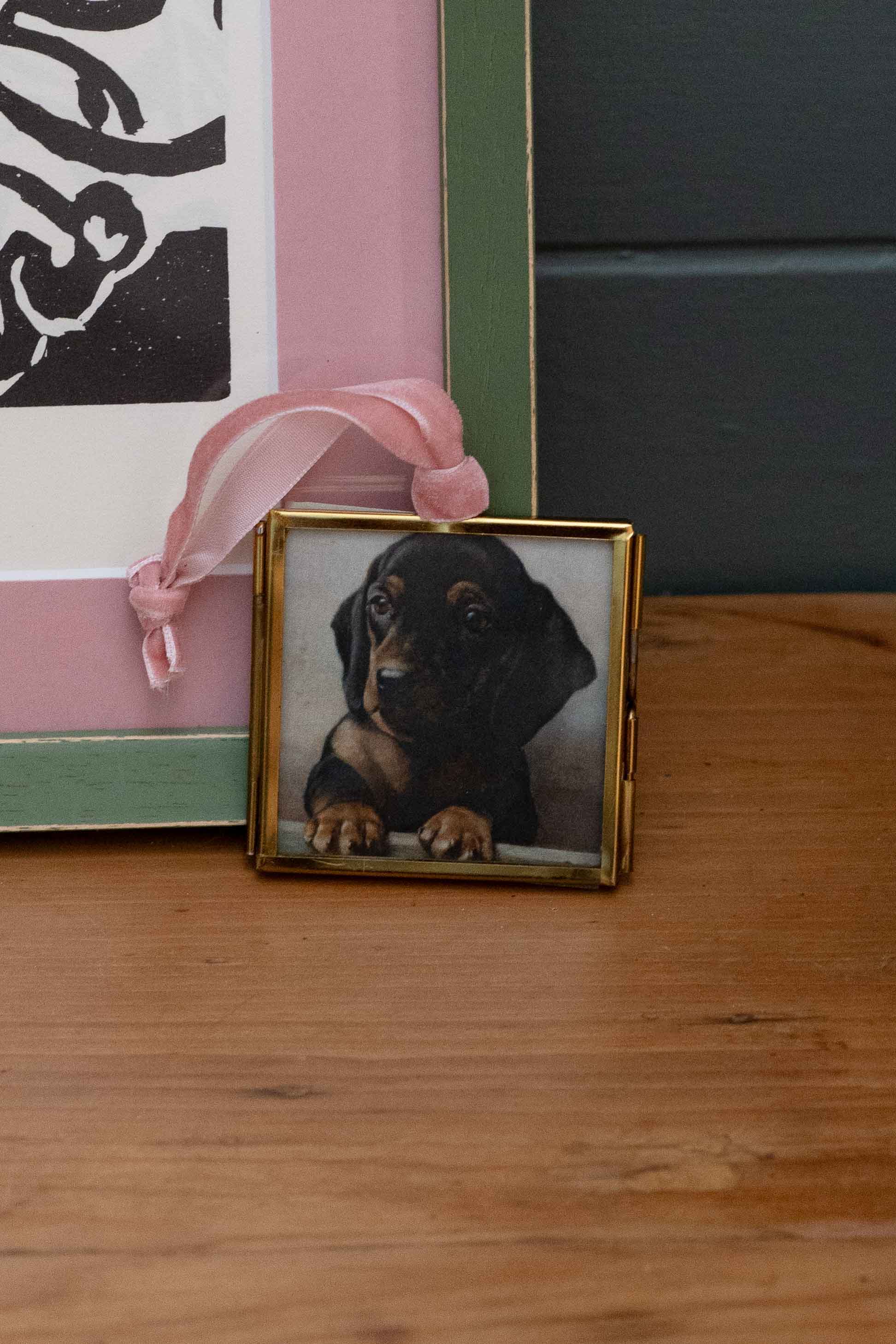 Miniature dachshund puppy portrait in a frame