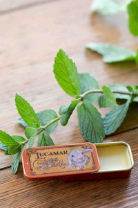 Peppermint lip balm with mint leaves