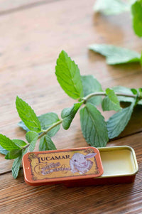 Peppermint lip balm with mint leaves