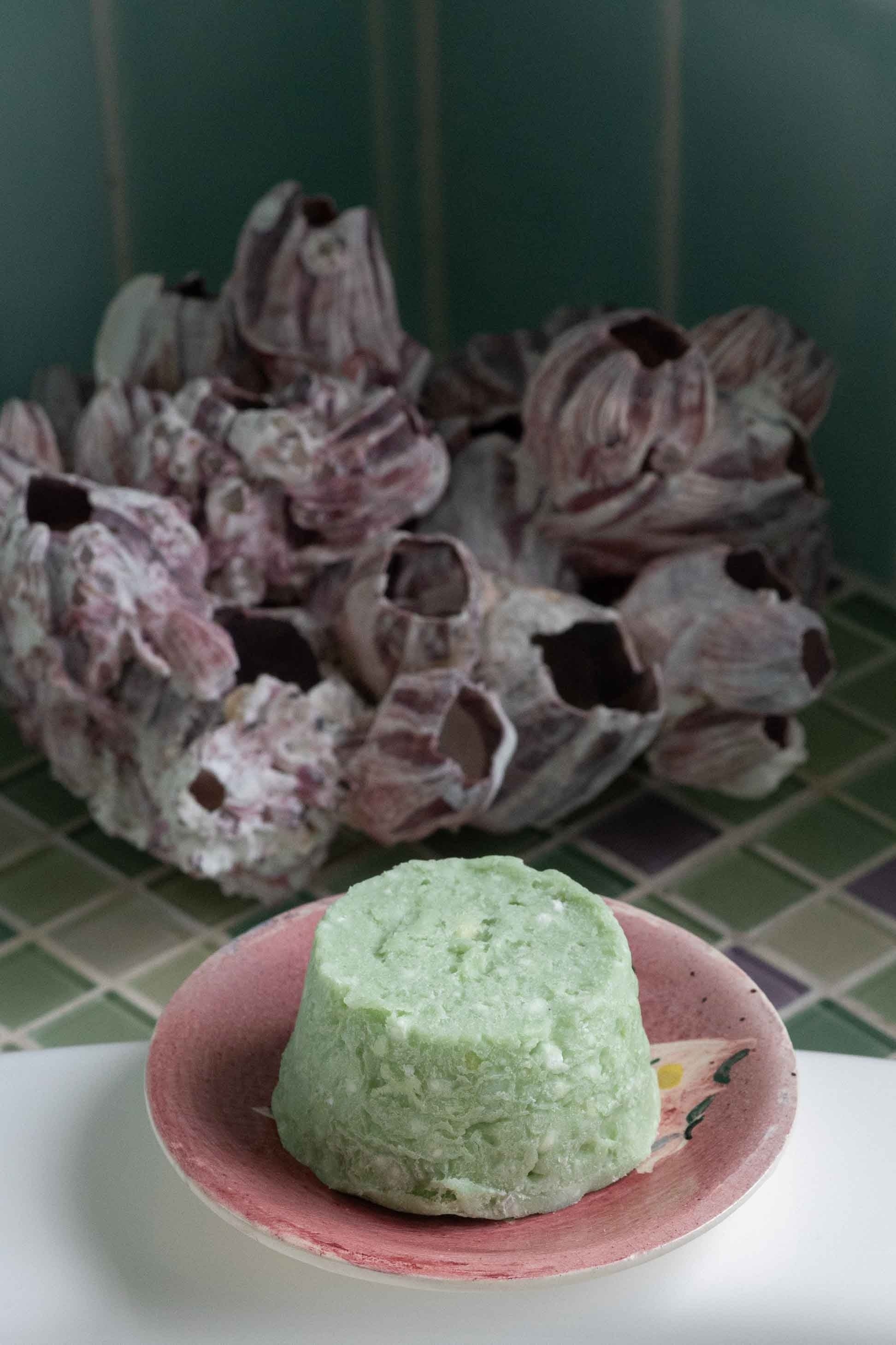 Shampoo bar on a pink plate with barnacles in the background