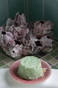 Shampoo bar on a pink plate with barnacles in the background