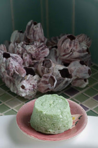 Shampoo bar on a pink plate with barnacles in the background