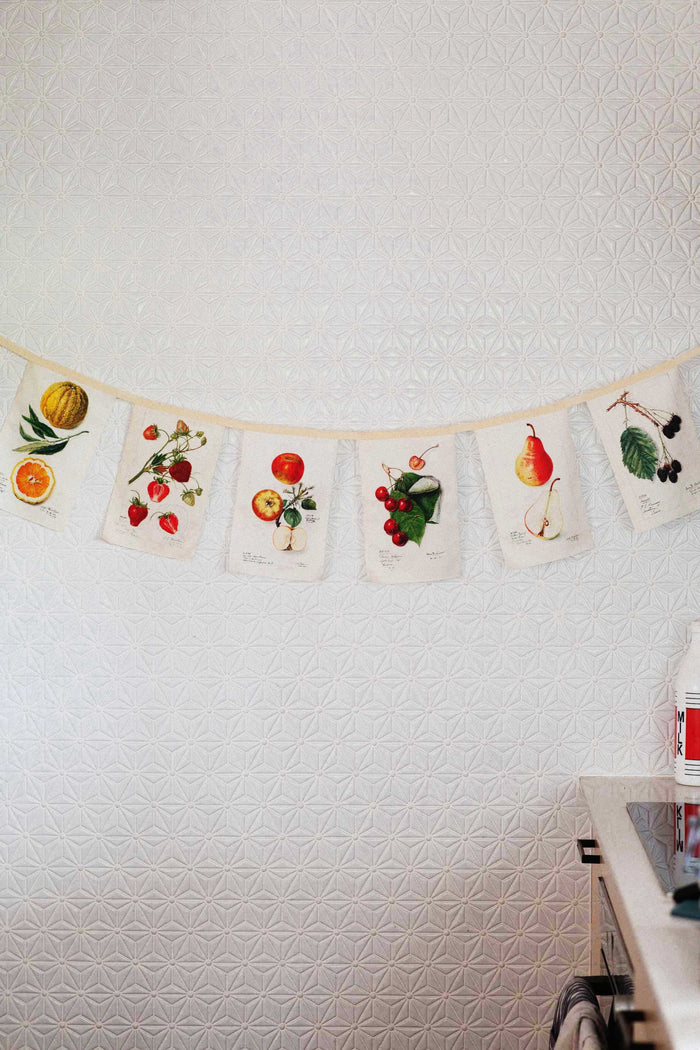 Vintage fruit garland banner on white wall