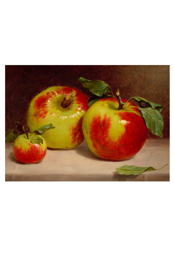 Art print of three apples with red and yellow coloring.