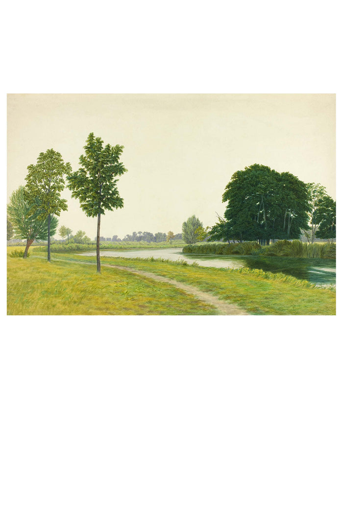 scenic landscape with trees and a path.
