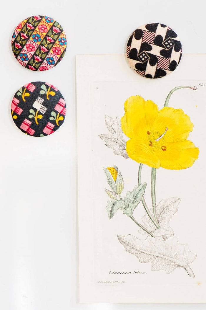 Floral domino magnets on a fridge with botanical art.