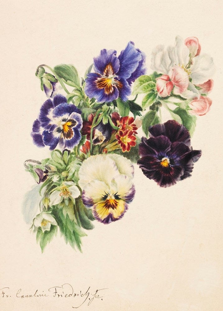 Watercolor bouquet with pansies, apple blossoms, and primroses by Caroline...