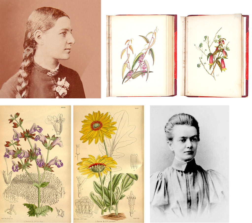 Meet Gertrude & Matilda: Celebrating women botanical artists