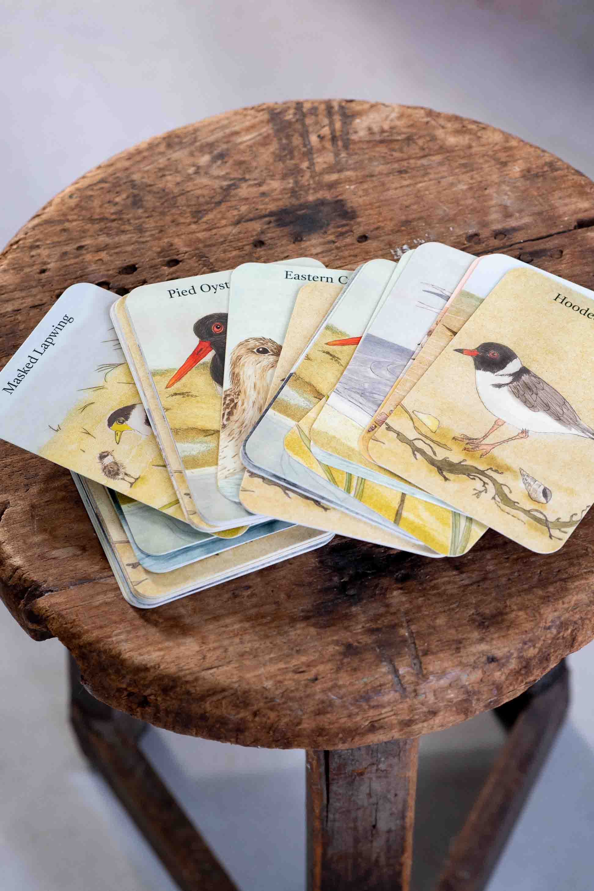 Beach Birds Card Game