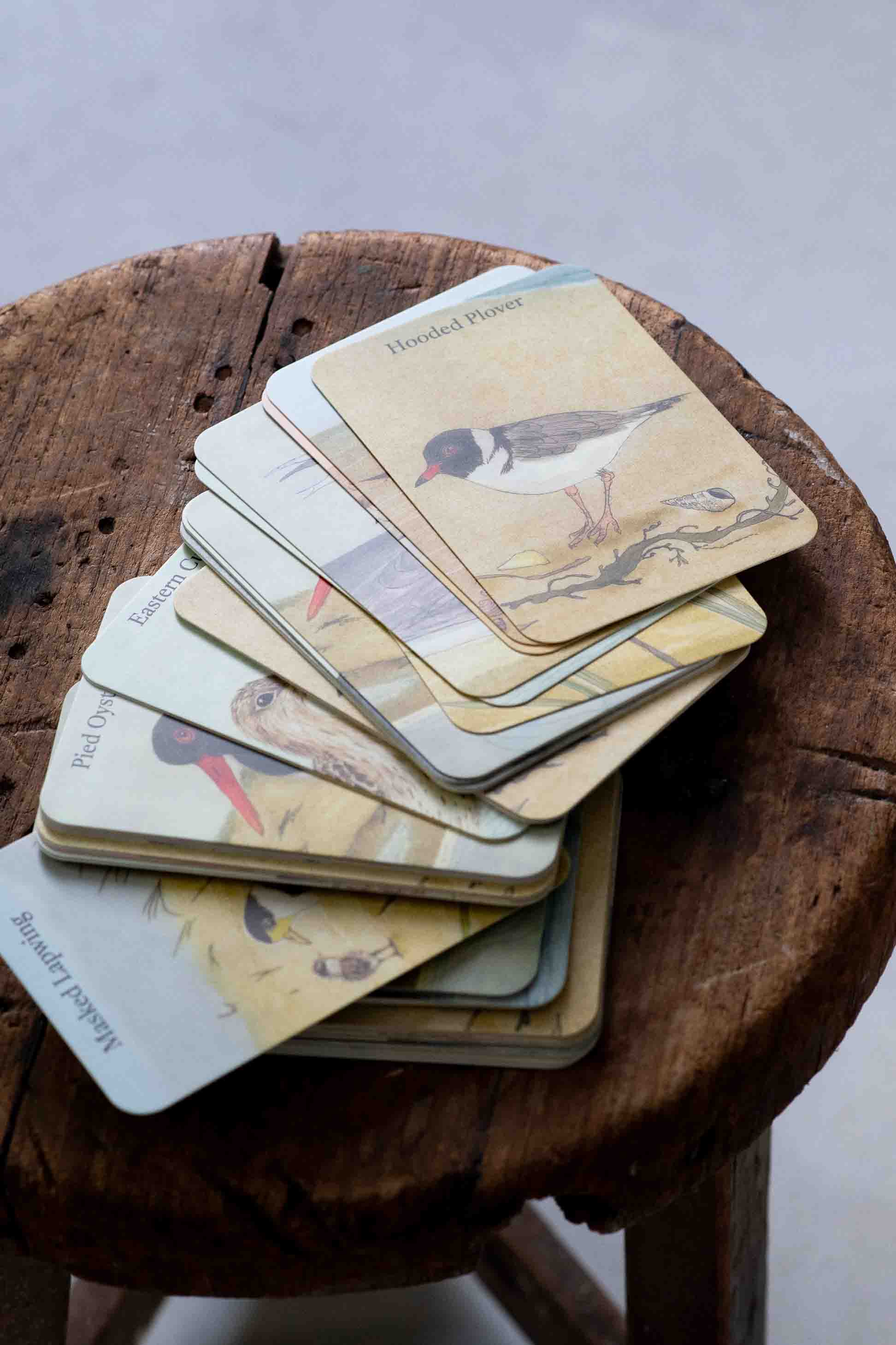 Beach Birds Card Game