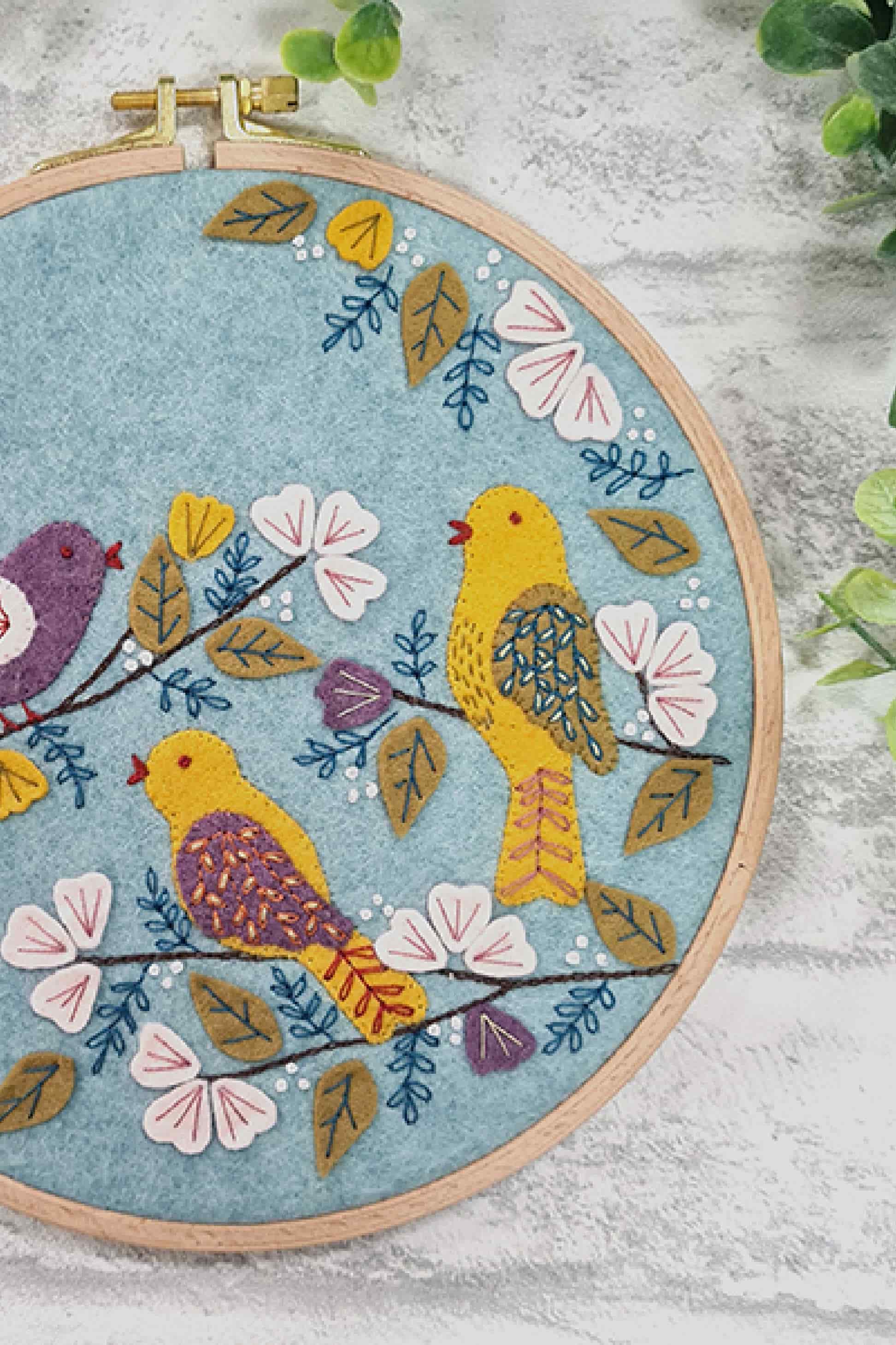 Dawn Chorus Embroidery Hoop Kit