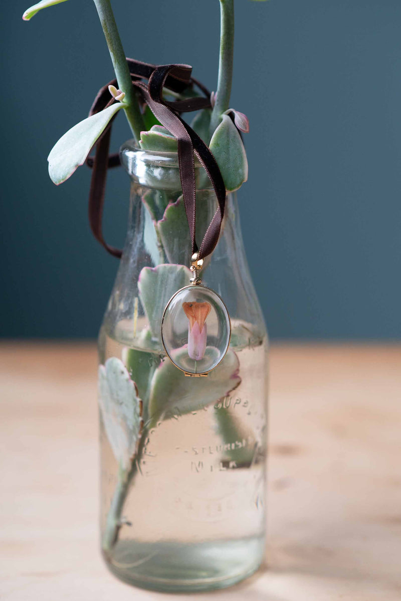 Oval crystal locket necklace in a glass bottle with greenery