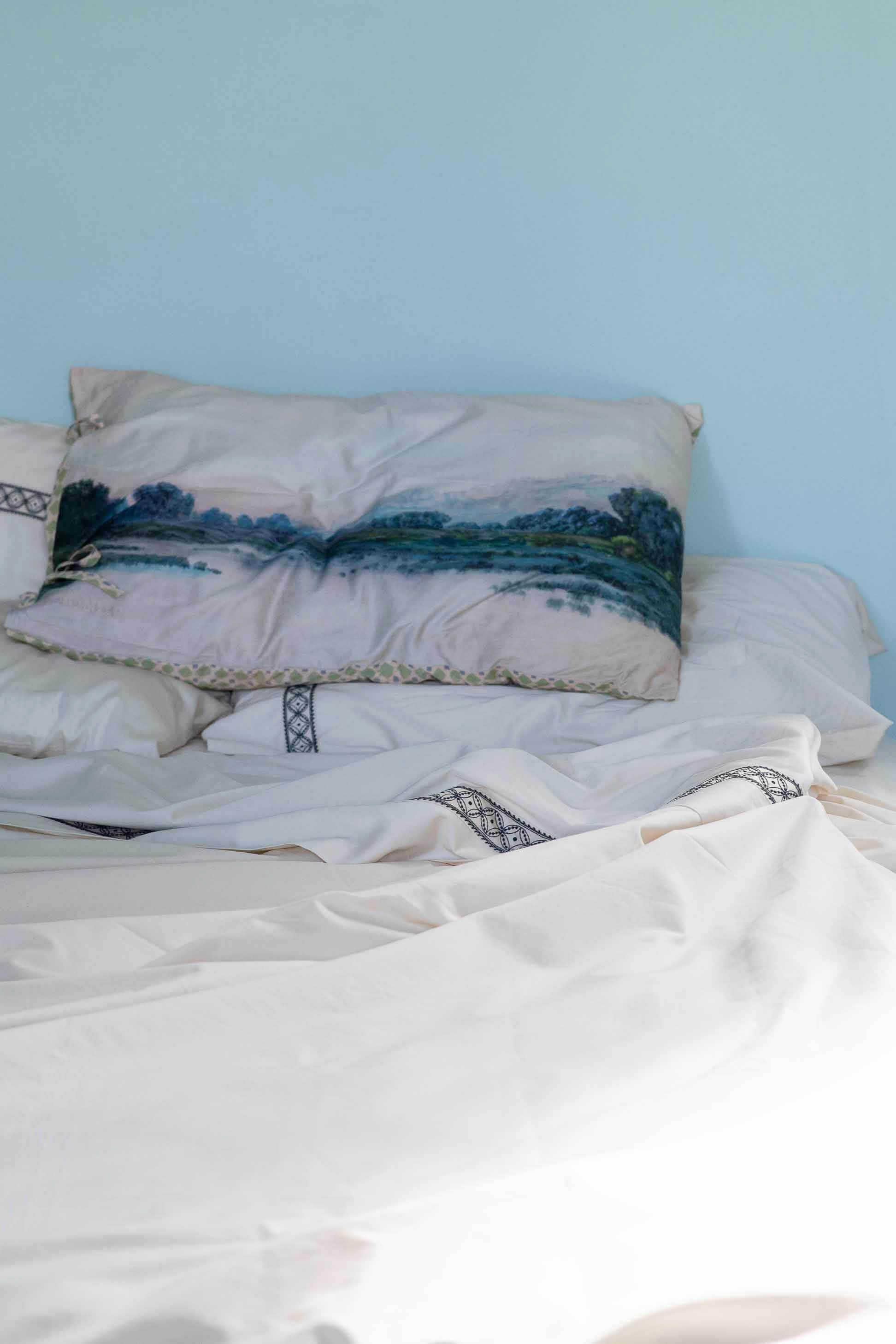 Tranquil pillowcase set *organic cotton