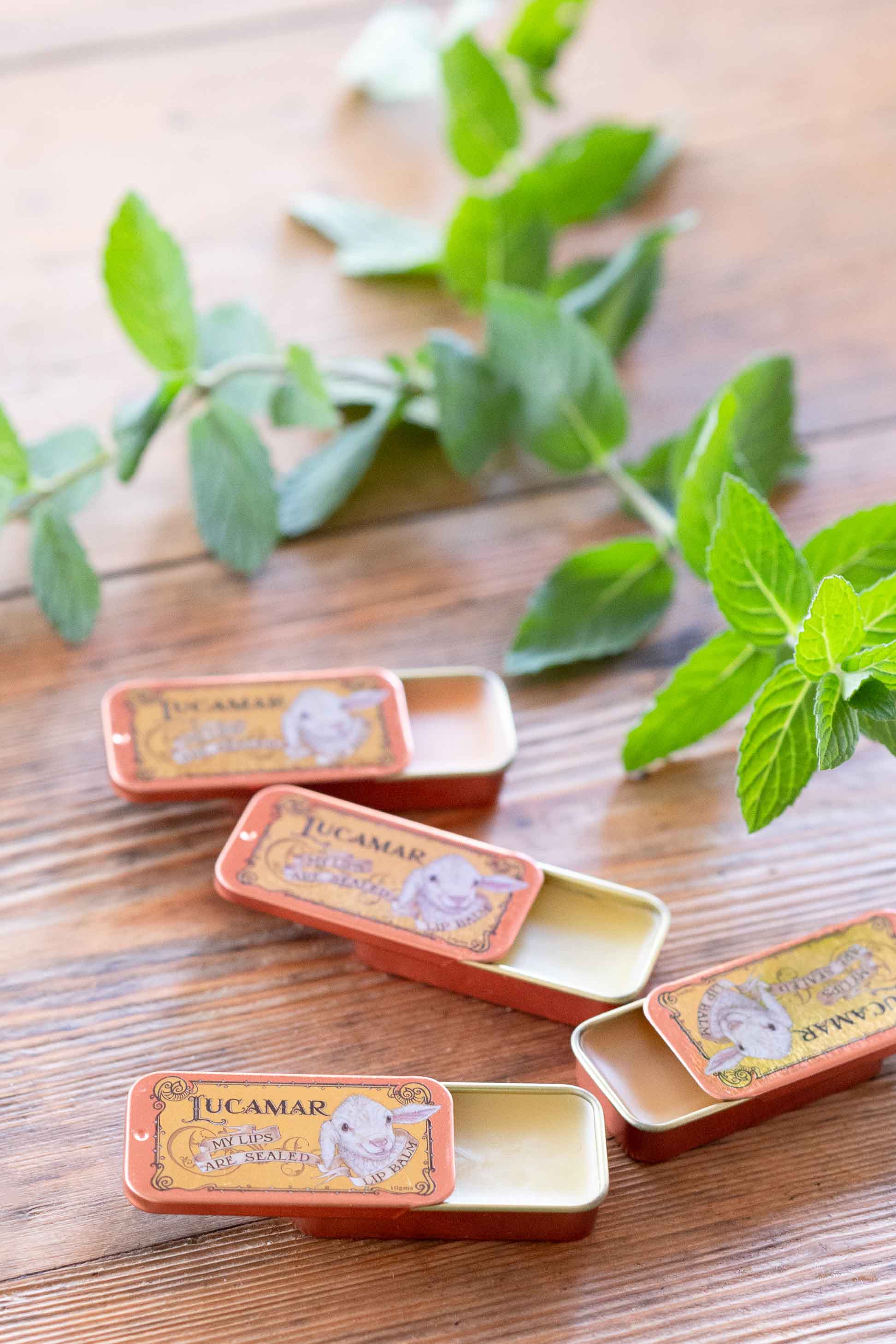 My Lips Are Sealed Lip Balm Watermelon