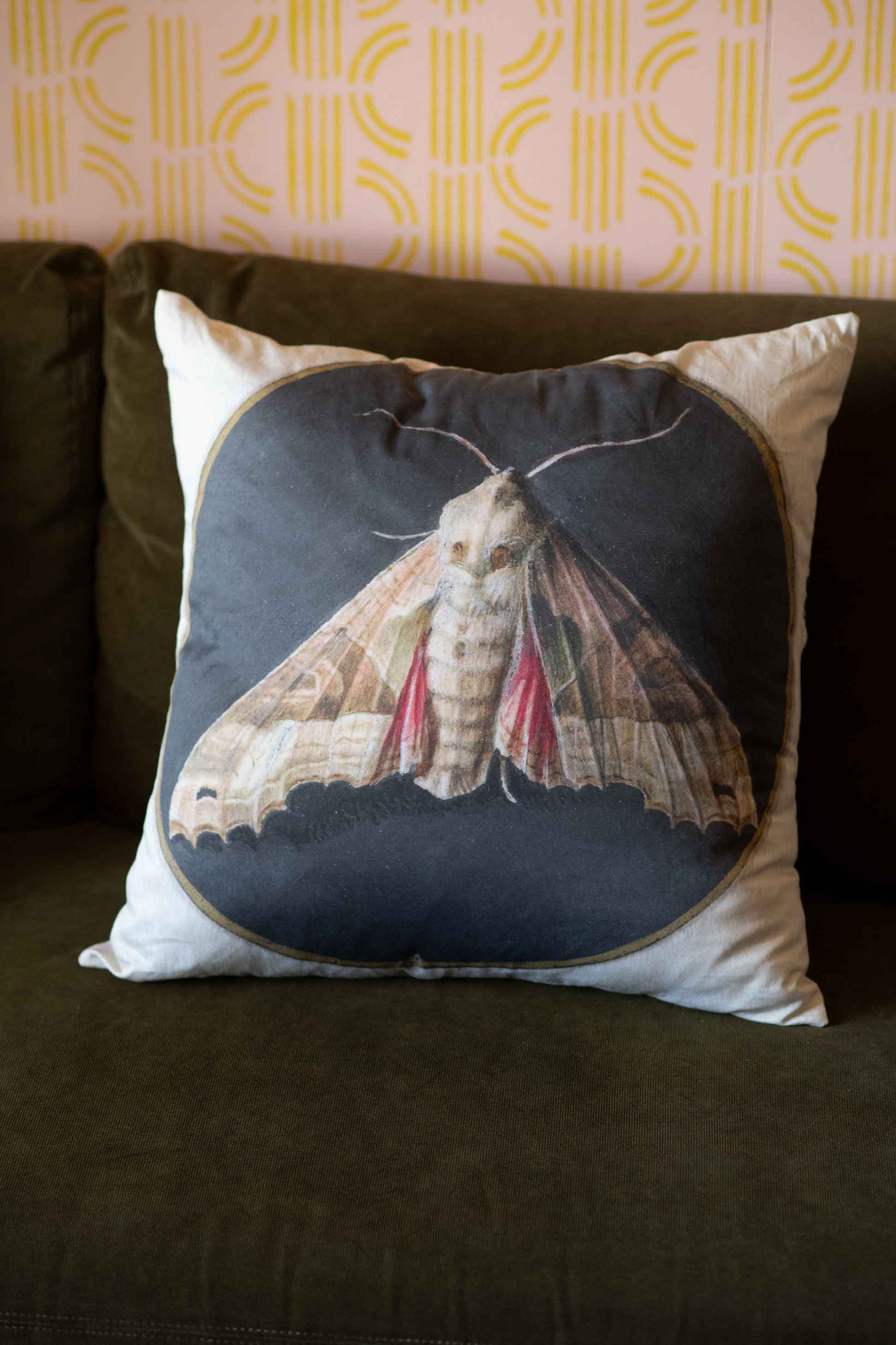 Moth cushion on sofa, decorative pillow with moth print