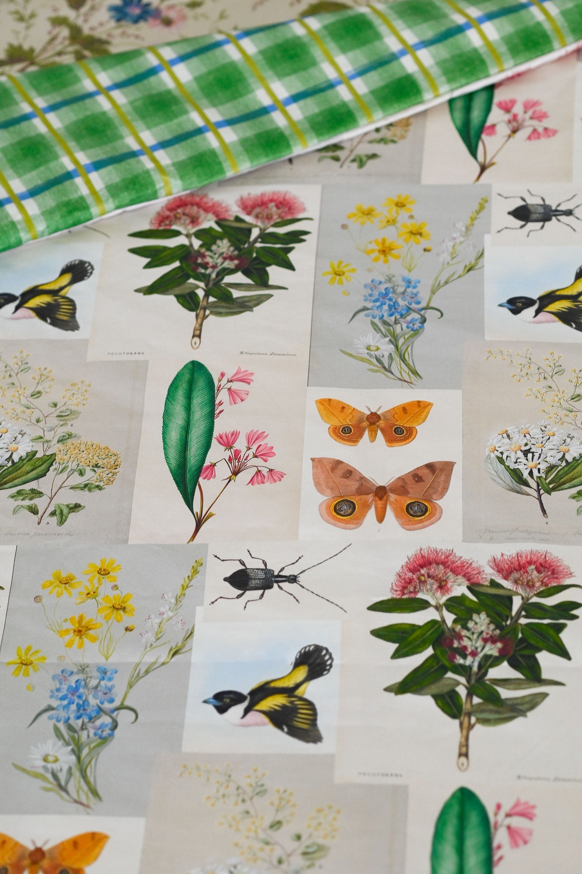Natural World Duvet Cover *organic cotton