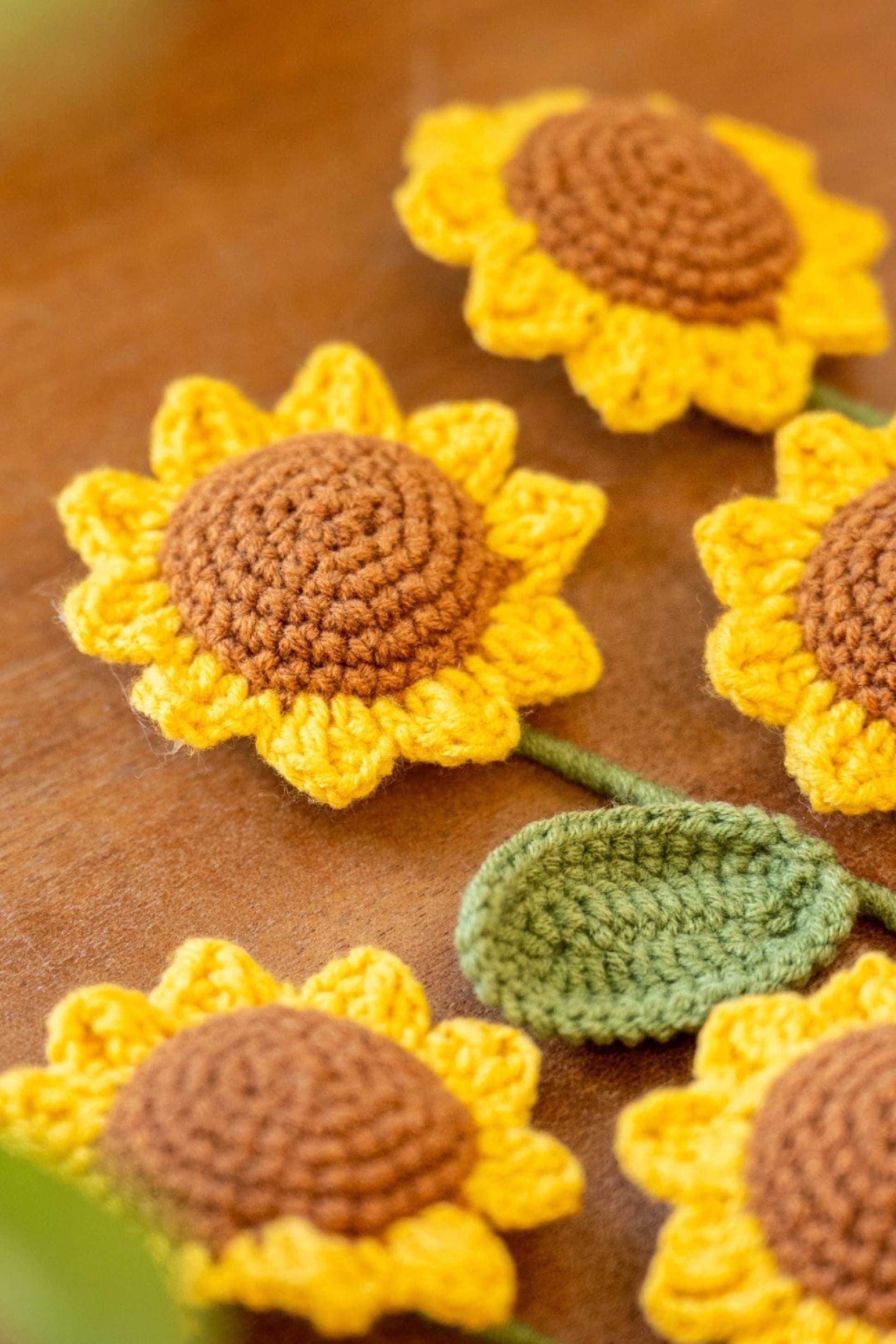 Sunflower Beginners Crochet Kit