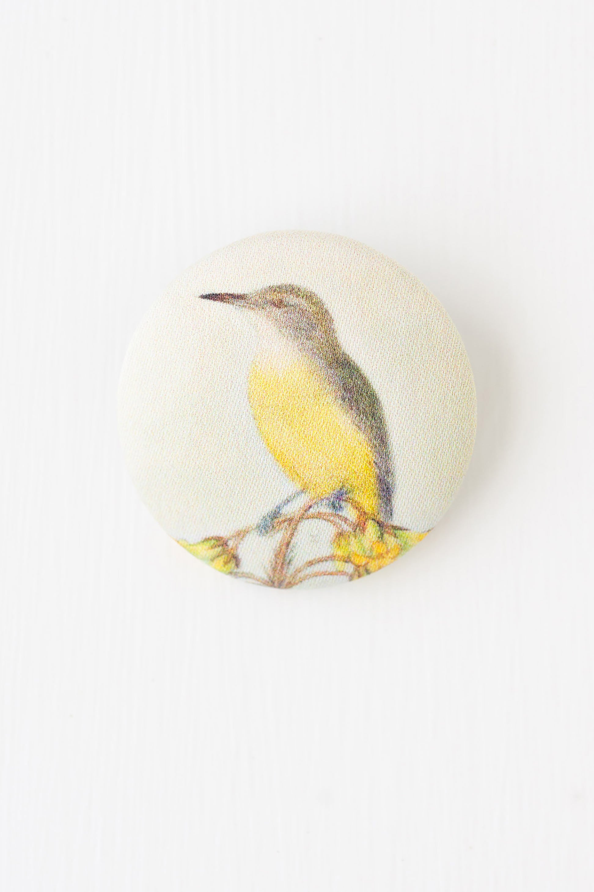 Robin brooch