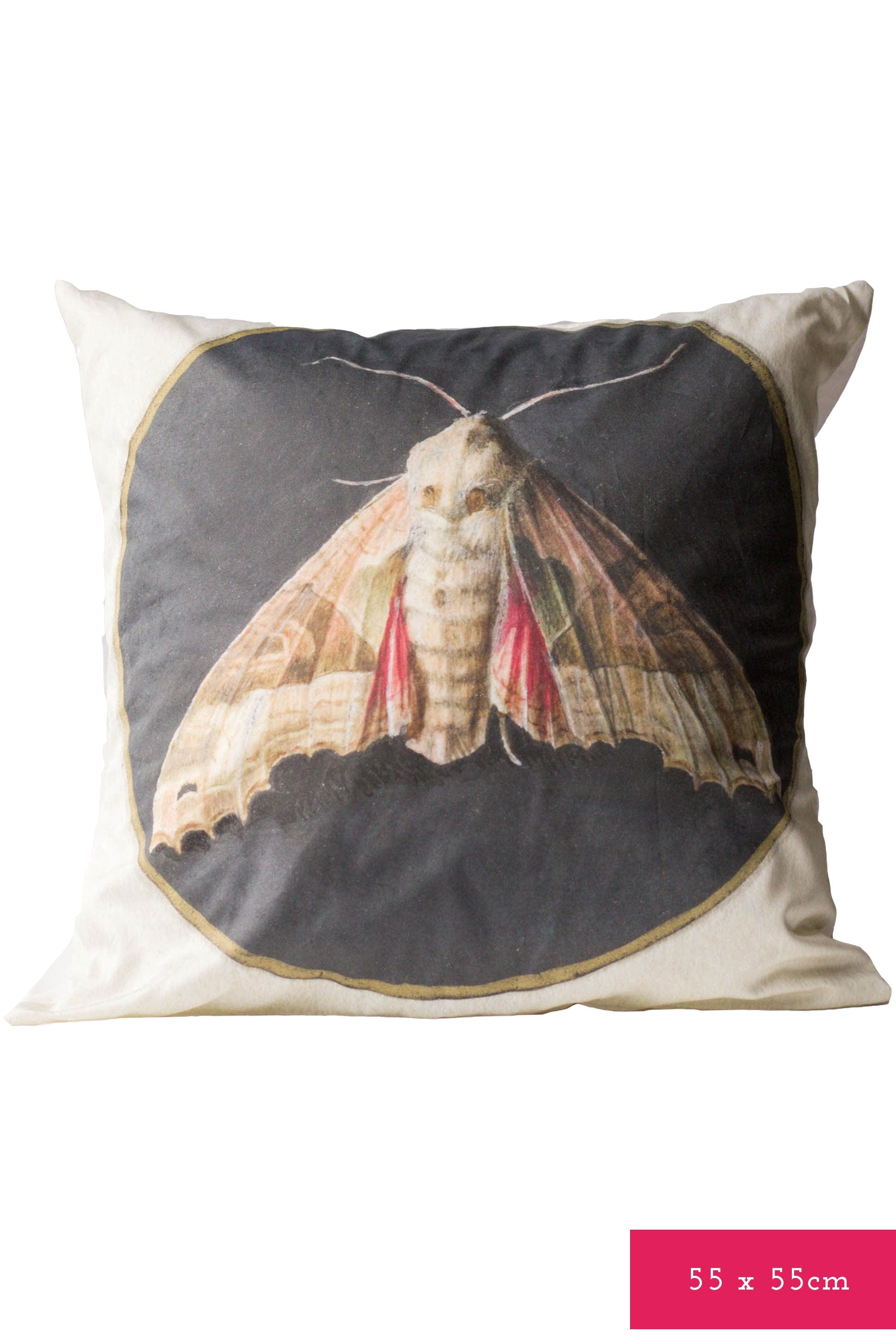 Moth cushion cover with detailed moth illustration.