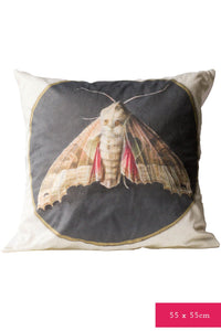 Moth cushion cover with detailed moth illustration.
