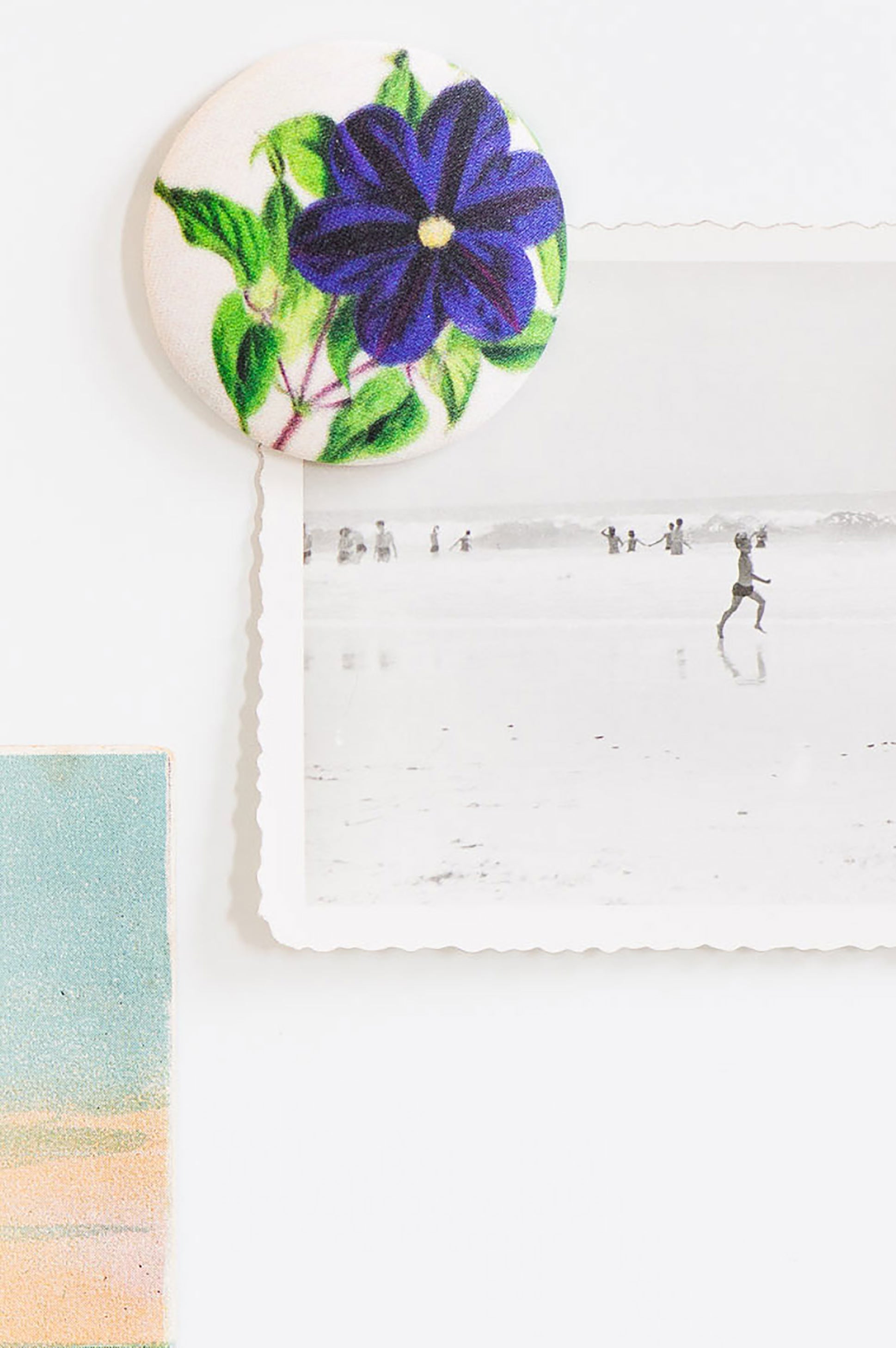 Morning Glory magnet
